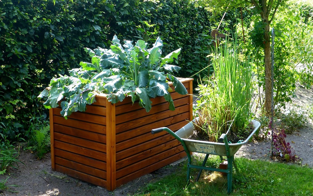 Hochbeet – Gartenarbeit ohne Rückenschmerzen